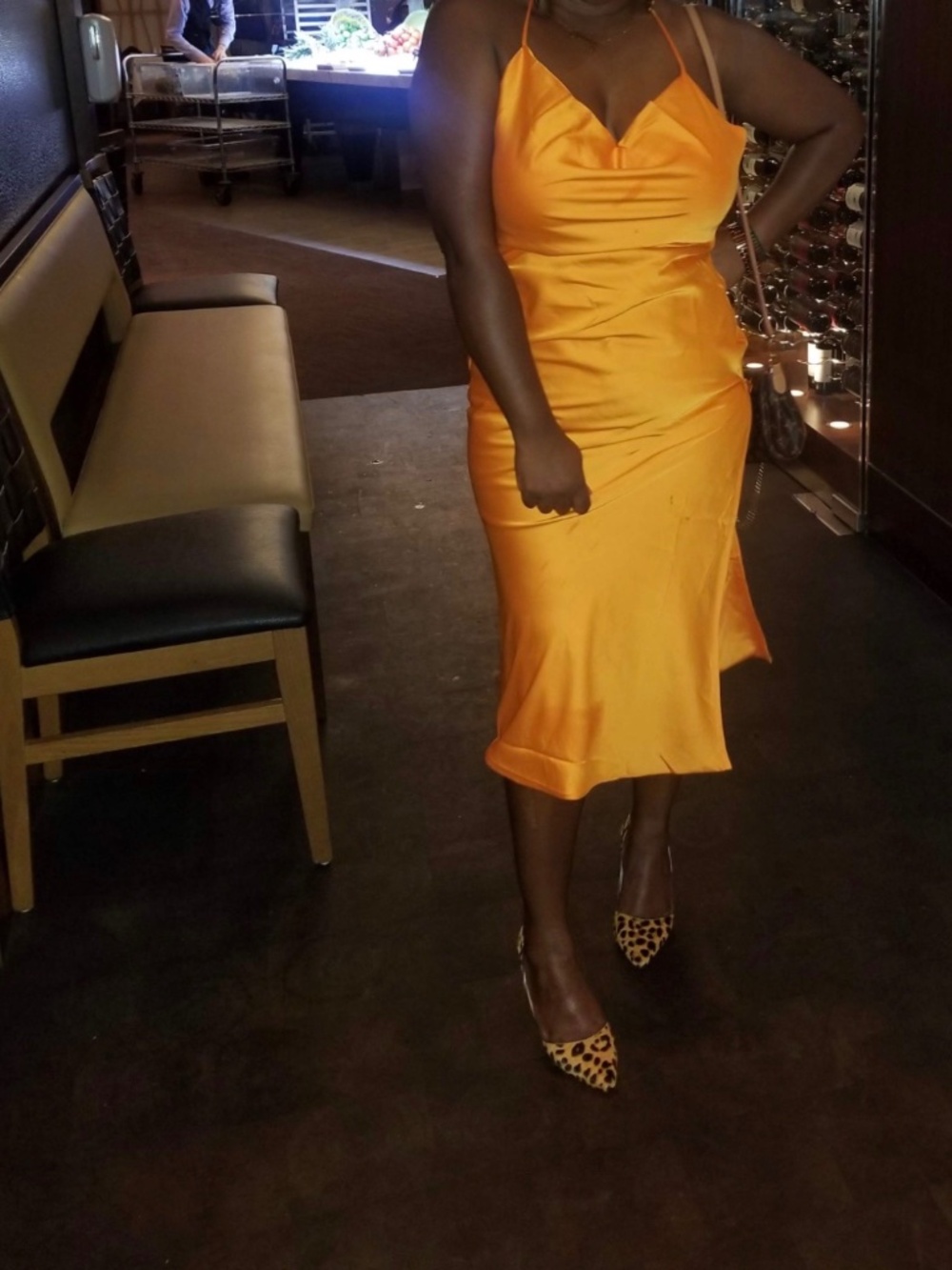 Evening Dress